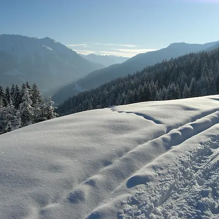 Apartment Schoder Vandans