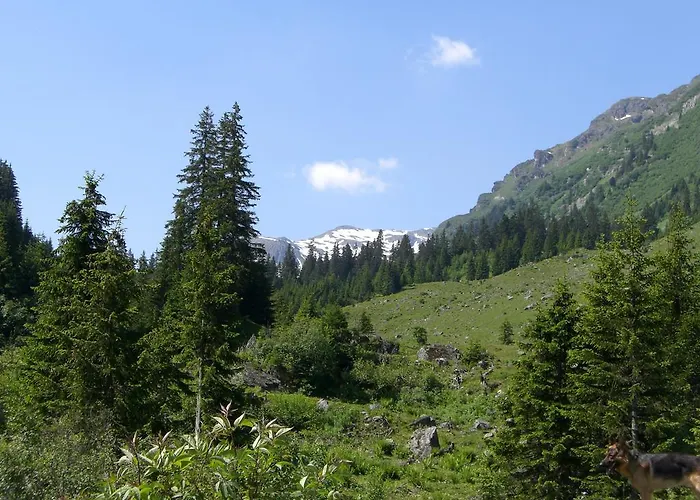 Gaestehaus Schoder Apartmán *