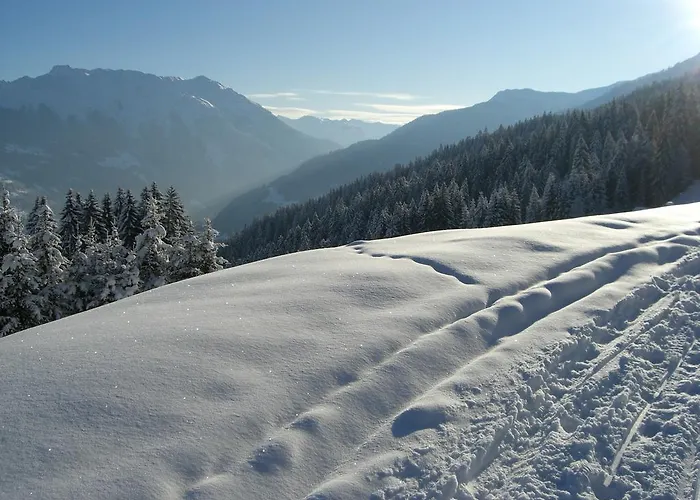 Apartment Gaestehaus Schoder Vandans