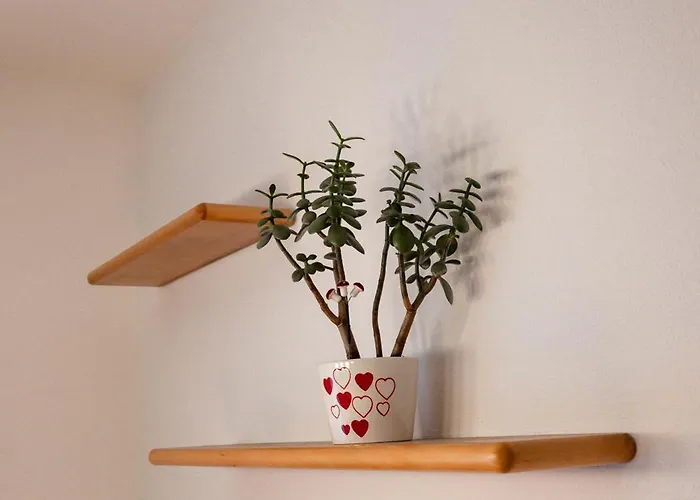 Gaestehaus Schoder Vandans